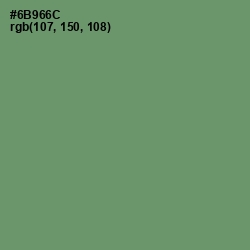 #6B966C - Highland Color Image