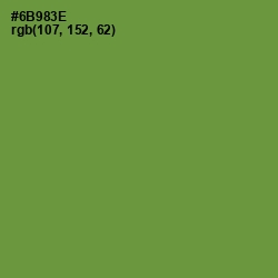 #6B983E - Olive Drab Color Image