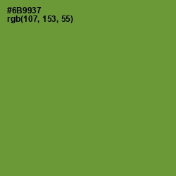 #6B9937 - Olive Drab Color Image