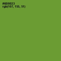 #6B9B33 - Olive Drab Color Image