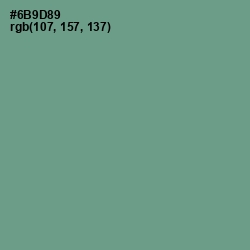 #6B9D89 - Patina Color Image