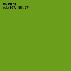 #6B9F1B - Limeade Color Image