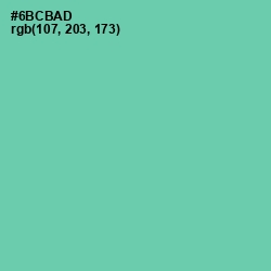 #6BCBAD - De York Color Image