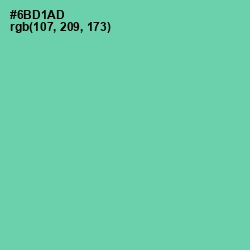 #6BD1AD - De York Color Image