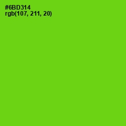 #6BD314 - Bright Green Color Image