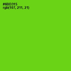 #6BD315 - Bright Green Color Image