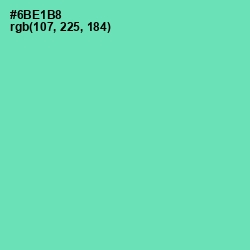 #6BE1B8 - De York Color Image