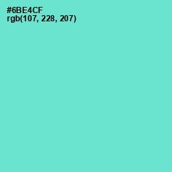 #6BE4CF - Aquamarine Color Image