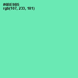 #6BE9B5 - De York Color Image