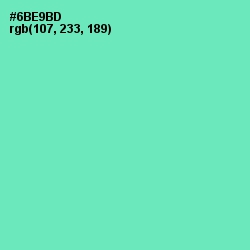 #6BE9BD - De York Color Image