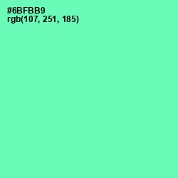 #6BFBB9 - De York Color Image