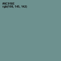 #6C918E - Patina Color Image