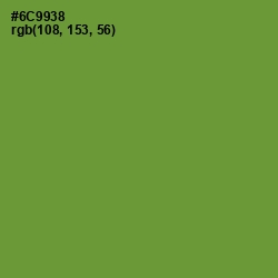 #6C9938 - Olive Drab Color Image