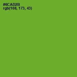 #6CAD2B - Christi Color Image