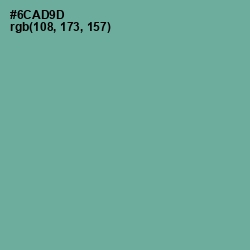 #6CAD9D - Sea Nymph Color Image