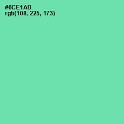 #6CE1AD - De York Color Image