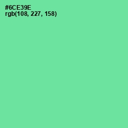 #6CE39E - De York Color Image