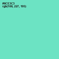 #6CE3C3 - Aquamarine Color Image