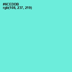 #6CEDDB - Aquamarine Color Image