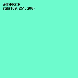 #6DFBCE - Aquamarine Color Image
