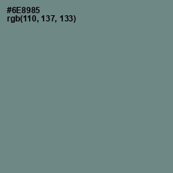 #6E8985 - Blue Smoke Color Image