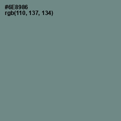 #6E8986 - Blue Smoke Color Image