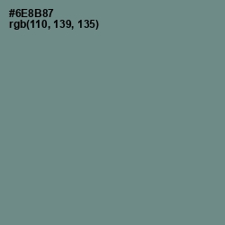 #6E8B87 - Blue Smoke Color Image