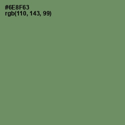 #6E8F63 - Highland Color Image