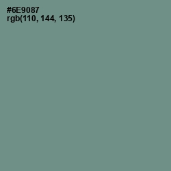 #6E9087 - Patina Color Image