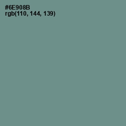 #6E908B - Patina Color Image