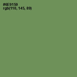 #6E9159 - Glade Green Color Image