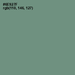 #6E927F - Laurel Color Image