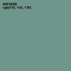 #6E968B - Patina Color Image