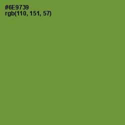 #6E9739 - Olive Drab Color Image