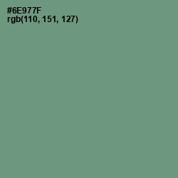 #6E977F - Laurel Color Image