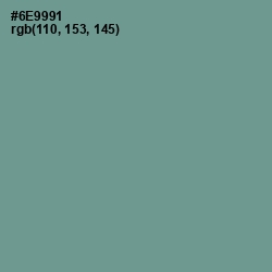 #6E9991 - Juniper Color Image