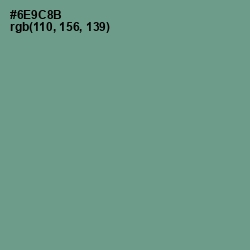 #6E9C8B - Patina Color Image