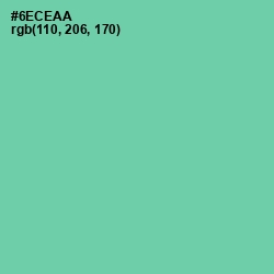 #6ECEAA - De York Color Image
