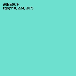 #6EE0CF - Aquamarine Color Image
