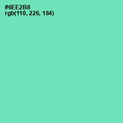 #6EE2B8 - De York Color Image