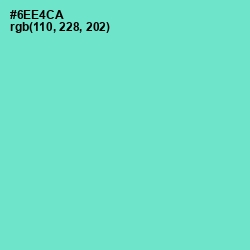 #6EE4CA - Aquamarine Color Image