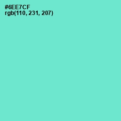 #6EE7CF - Aquamarine Color Image