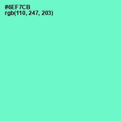#6EF7CB - Aquamarine Color Image