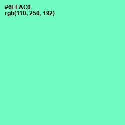 #6EFAC0 - Aquamarine Color Image