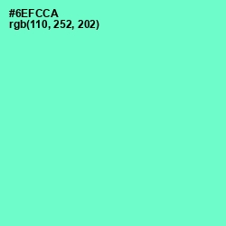 #6EFCCA - Aquamarine Color Image