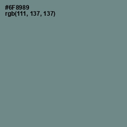 #6F8989 - Blue Smoke Color Image