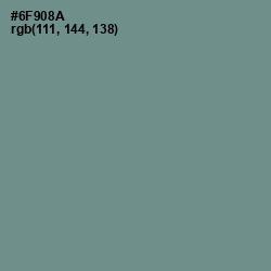 #6F908A - Patina Color Image