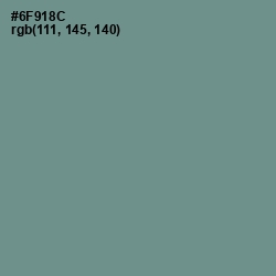 #6F918C - Patina Color Image