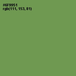 #6F9951 - Glade Green Color Image