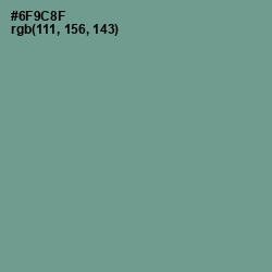 #6F9C8F - Patina Color Image